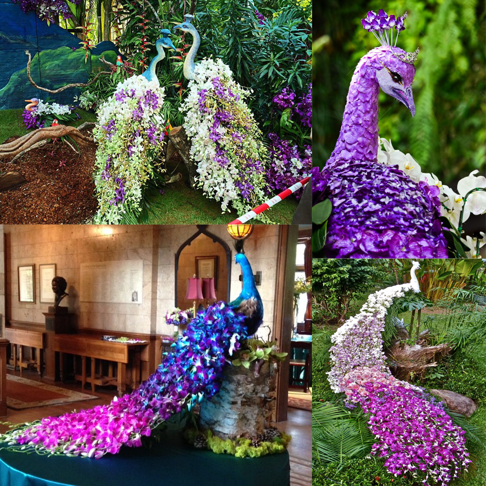 Декоративные птицы  павлины из орхидей