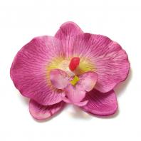 Орхидея фиолетовая головка