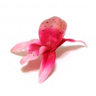Головка орхидеи розовая