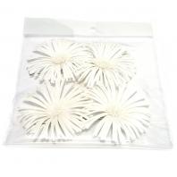 Упаковка головки хризантем белые