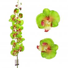 Искусственные орхидеи как живые