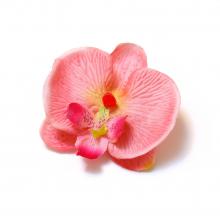 Орхидея головка маленькая розовая