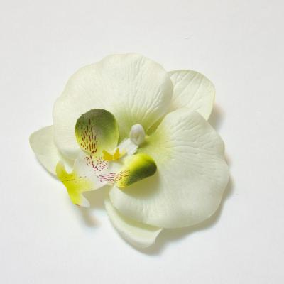 Интернет магазин головки орхидей