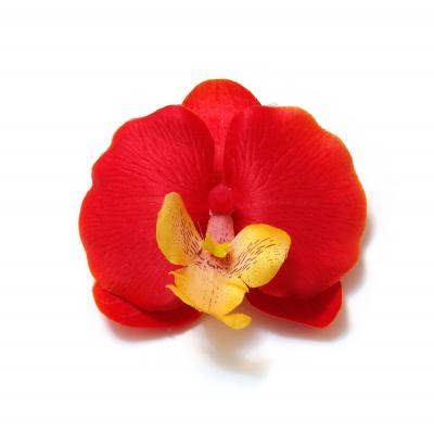 Головки красных орхидей оптом