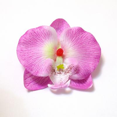 Сиреневая орхидея где купить