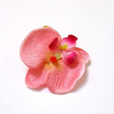 Розовая орхидея головка