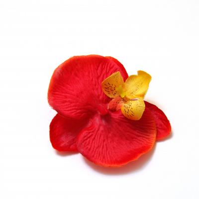 Красная головка орхидеи маленькая