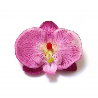 Маленькие головки орхидей