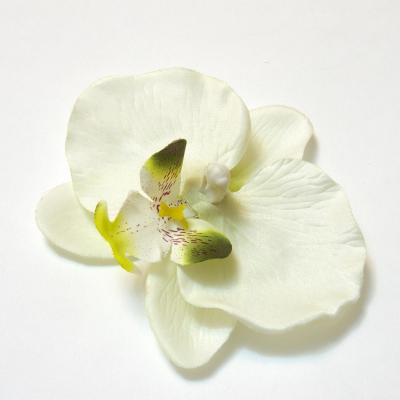 Головка орхидеи кремовая