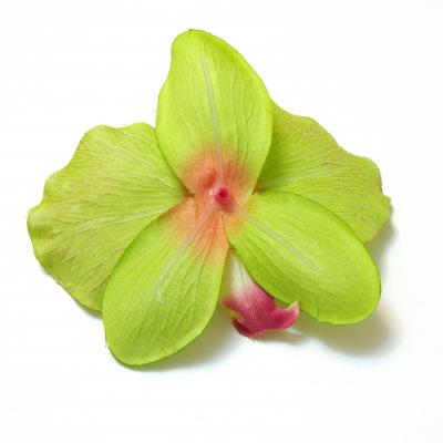Обратная сторона головки орхидей