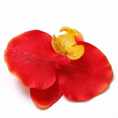 Большая красная орхидея