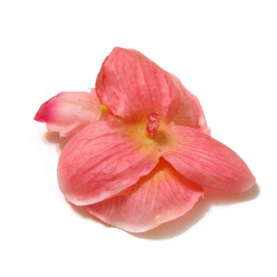Головки розовых орхидей