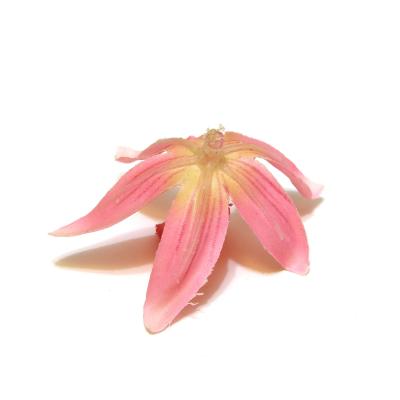 Розовая головка орхидеи 