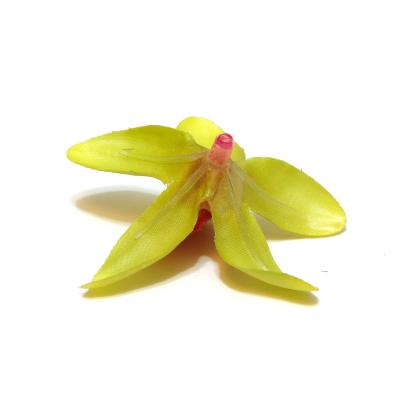 Обратная сторона головки орхидеи