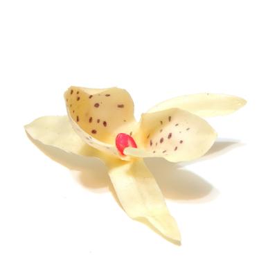 Белая головка орхидеи