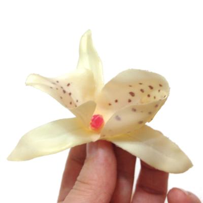Красивые головки орхидей