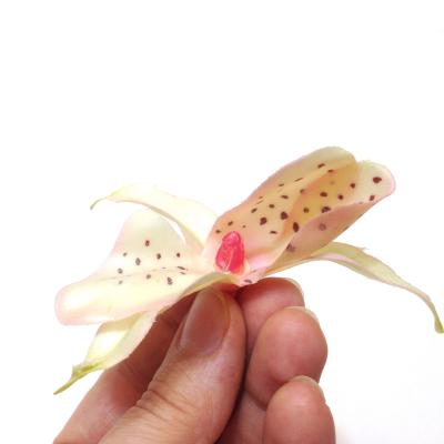 Головка орхидеи в руке