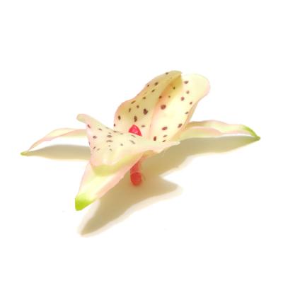 Головки орхидей кремово-розовые