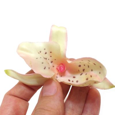 Красивые головки орхидей