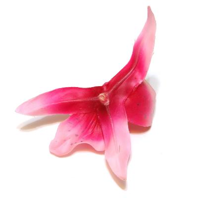 Розовые декоративные головки орхидей
