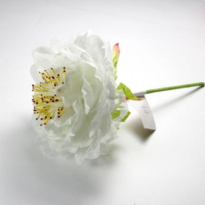 Головка цветка белая