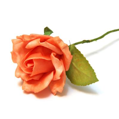 Оранжевая роза латекс