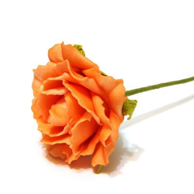 Розы оранжевые 