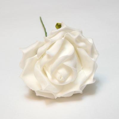 Роза белая пенка