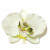 Головка орхидеи большая белая для свадьбы