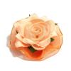 Головка персиковой розы
