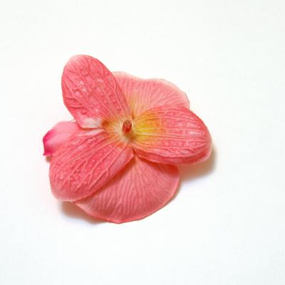 Головка розовой орхидеи с обратной стороны