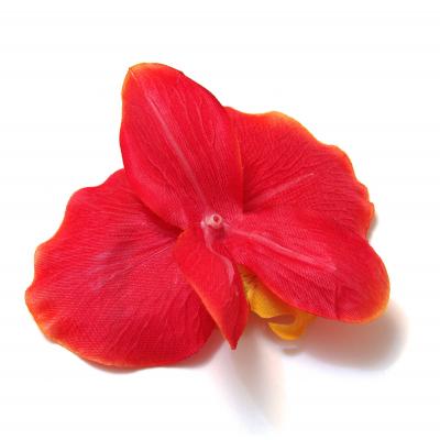 Головка красной орхидеи обратная сторона