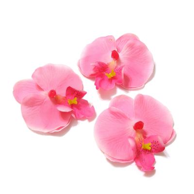 Головка орхидеи розовая