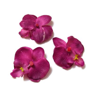 Фиолетовые головки орхидей