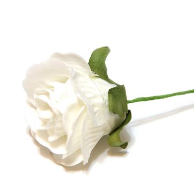 Белые свадебные розы