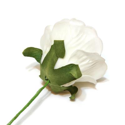 Роза белая латекс с обратной стороны